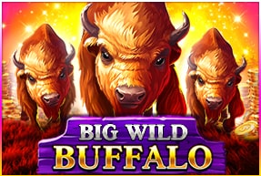 Belatra Games | Big Wild Buffalo